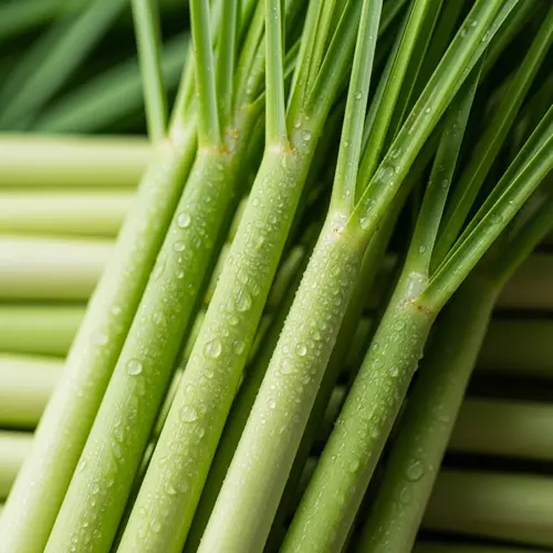 Aroma Lemon Grass Meliquina Natural